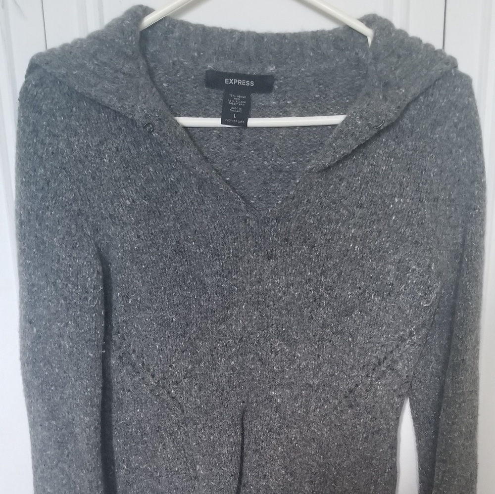 Express wool sweater